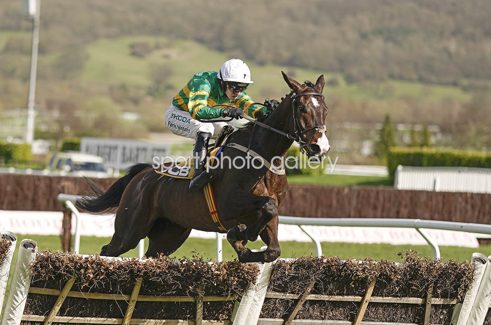 JCB Triumph Hurdle history