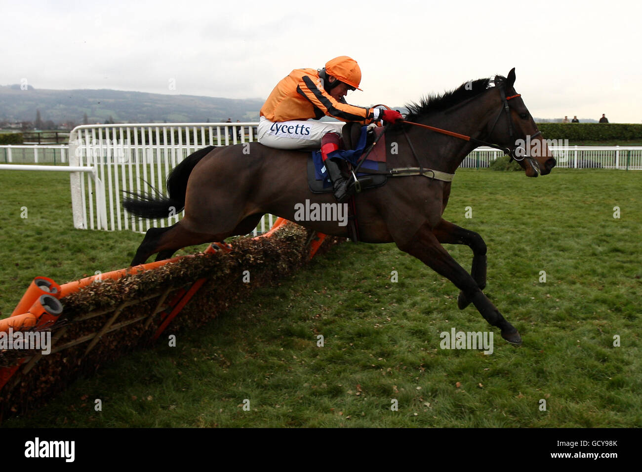 JCB Triumph Hurdle live stream