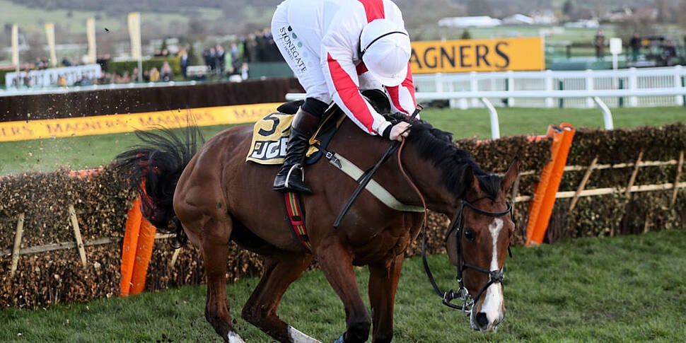 JCB Triumph Hurdle odds