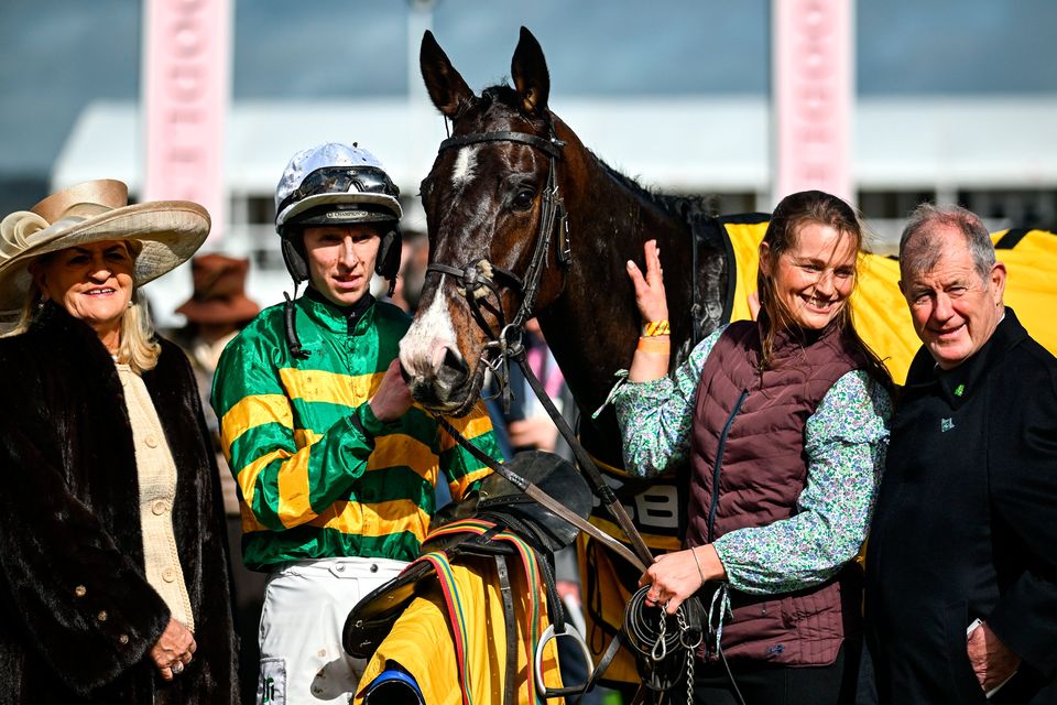 JCB Triumph Hurdle results