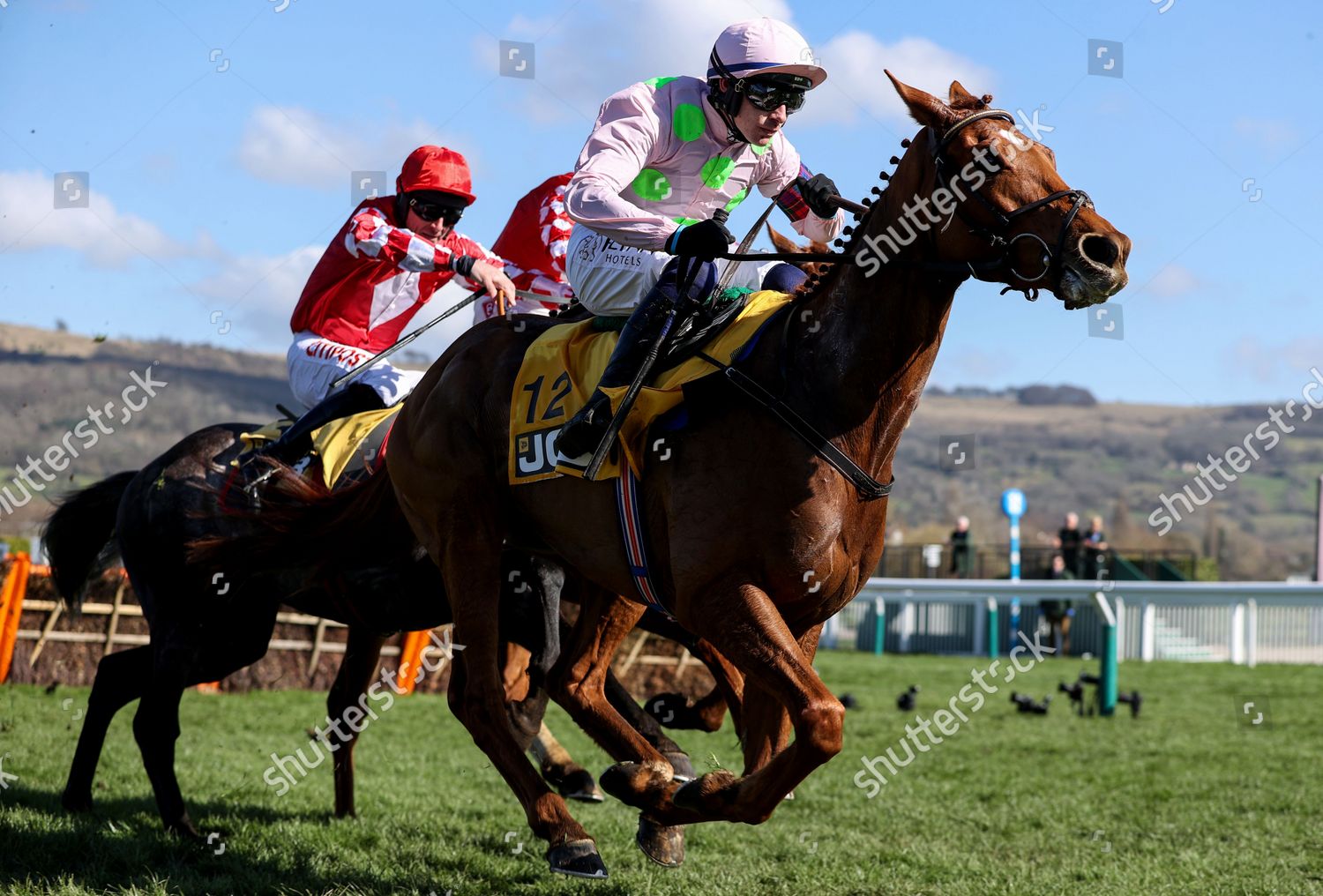jcb triumph hurdle 0009