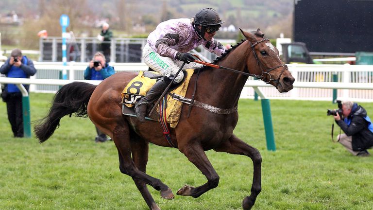 jcb triumph hurdle 0010