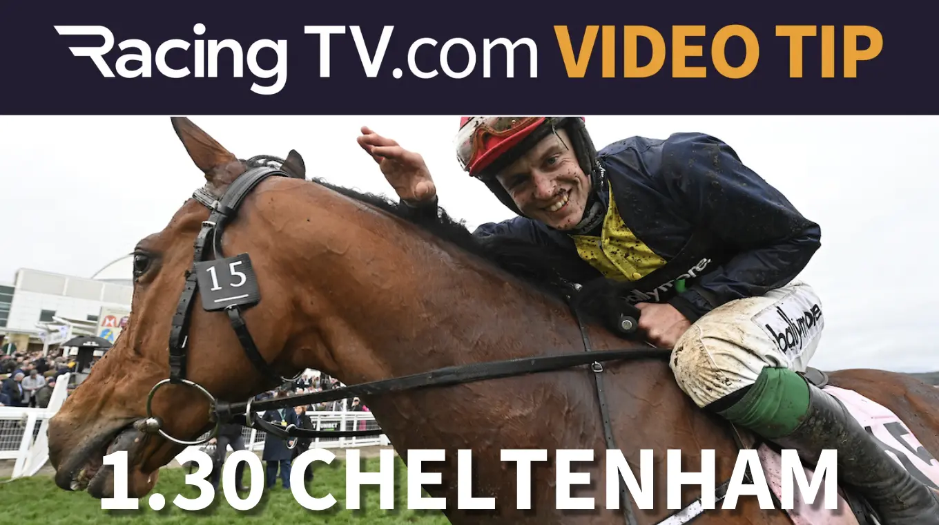 jcb triumph hurdle 0011