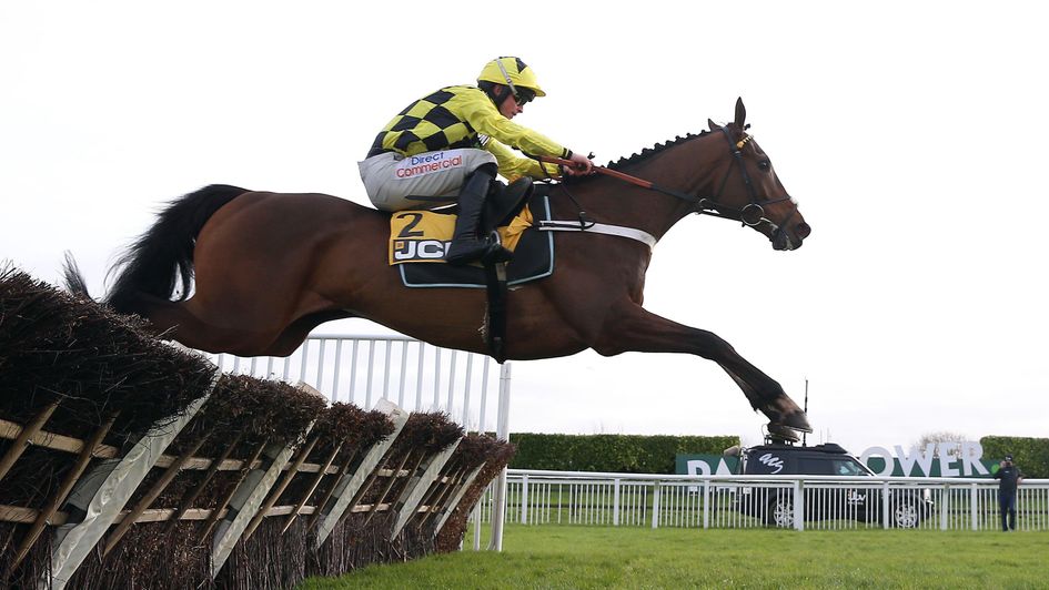 jcb triumph hurdle 0012
