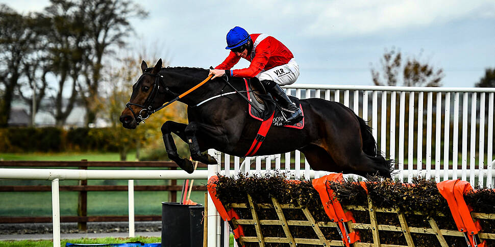 jcb triumph hurdle 0013