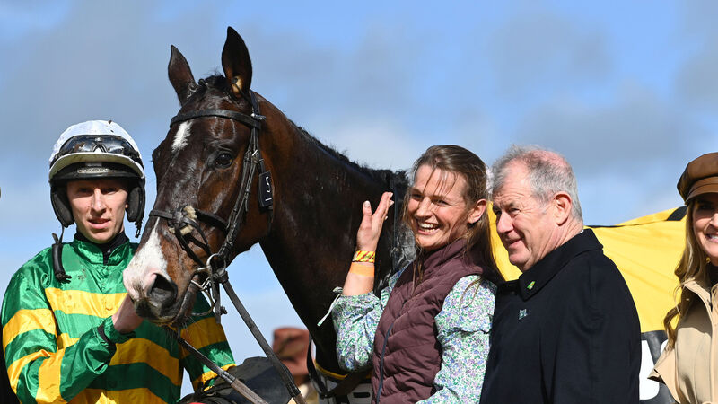 jcb triumph hurdle 0014