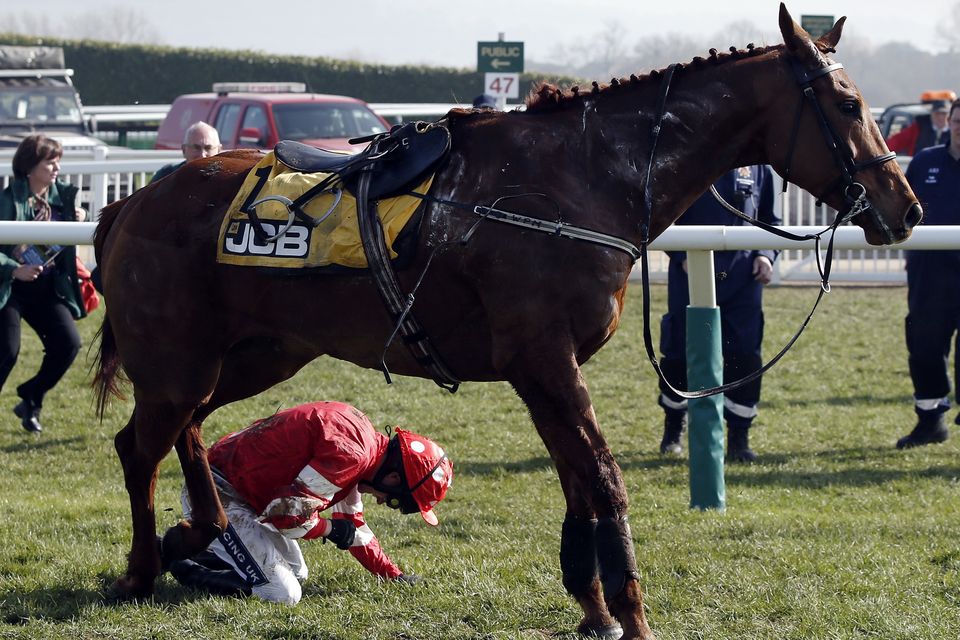 jcb triumph hurdle 0015