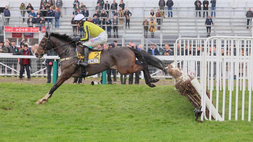jcb triumph hurdle 0017