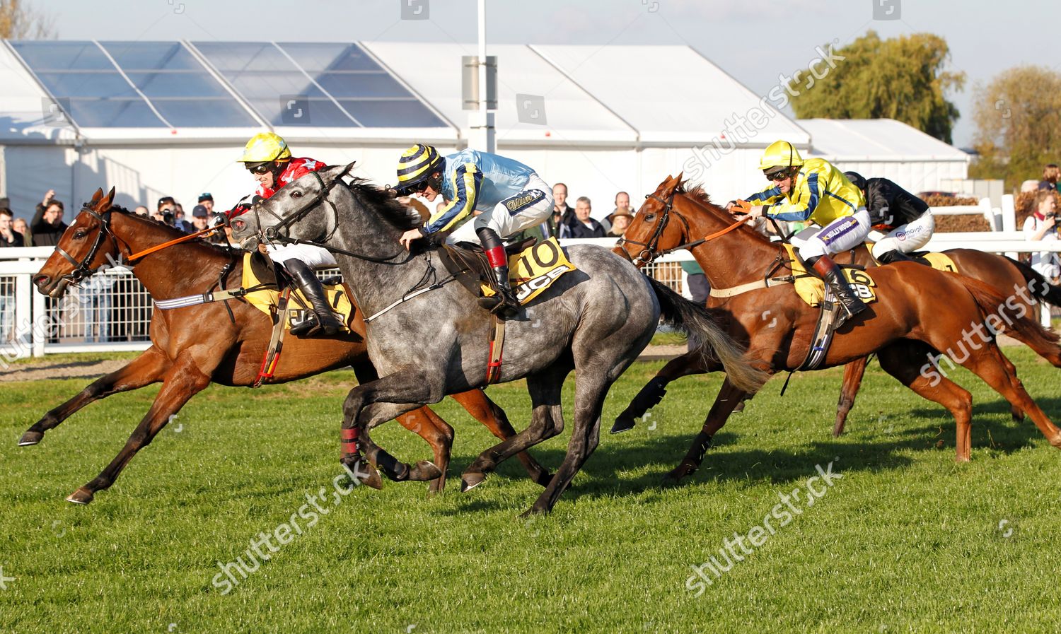 jcb triumph hurdle 0018