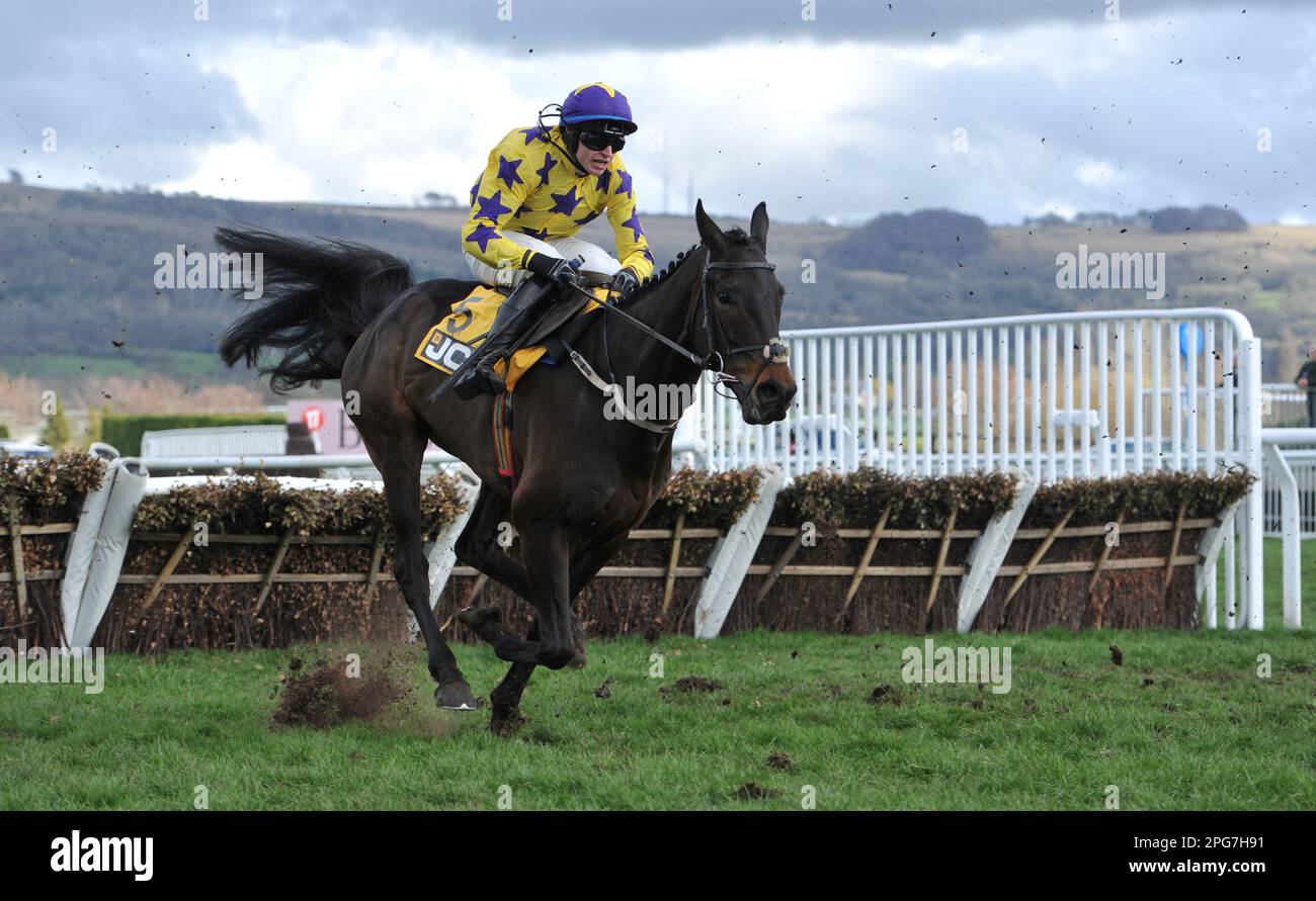 jcb triumph hurdle 0019