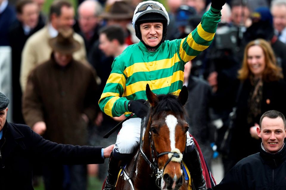 jcb triumph hurdle 0020