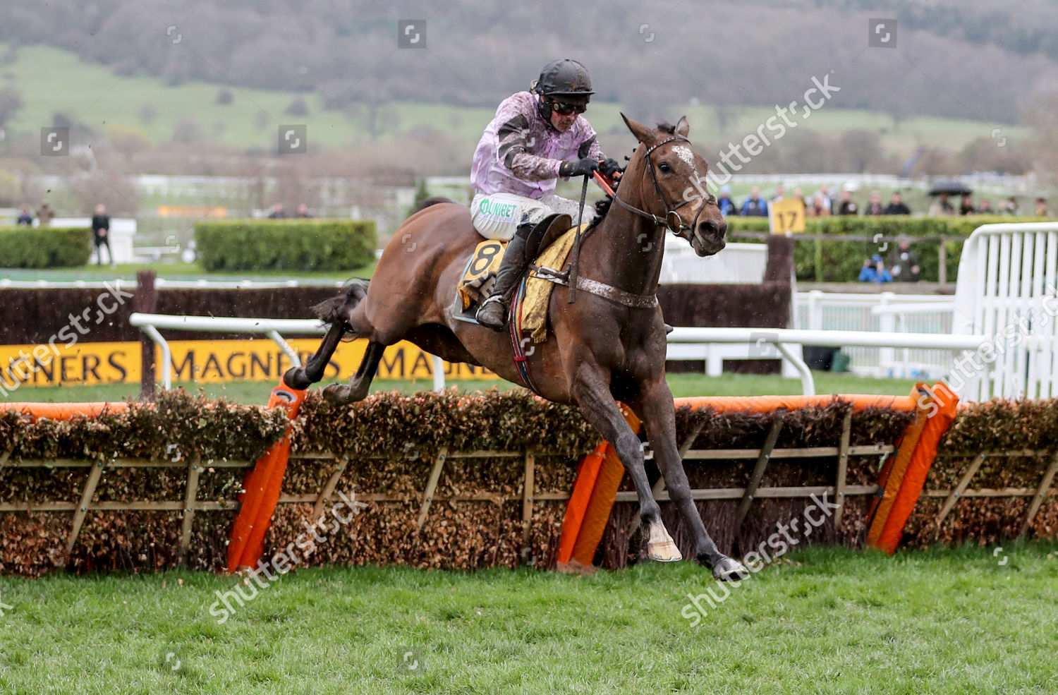 jcb triumph hurdle 0022