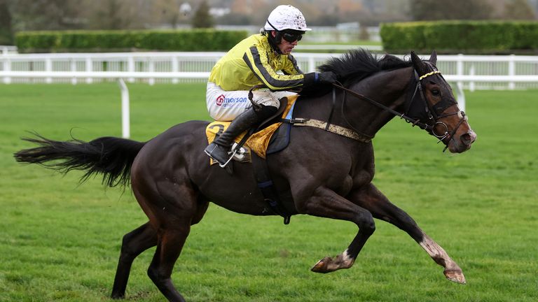 jcb triumph hurdle 0023