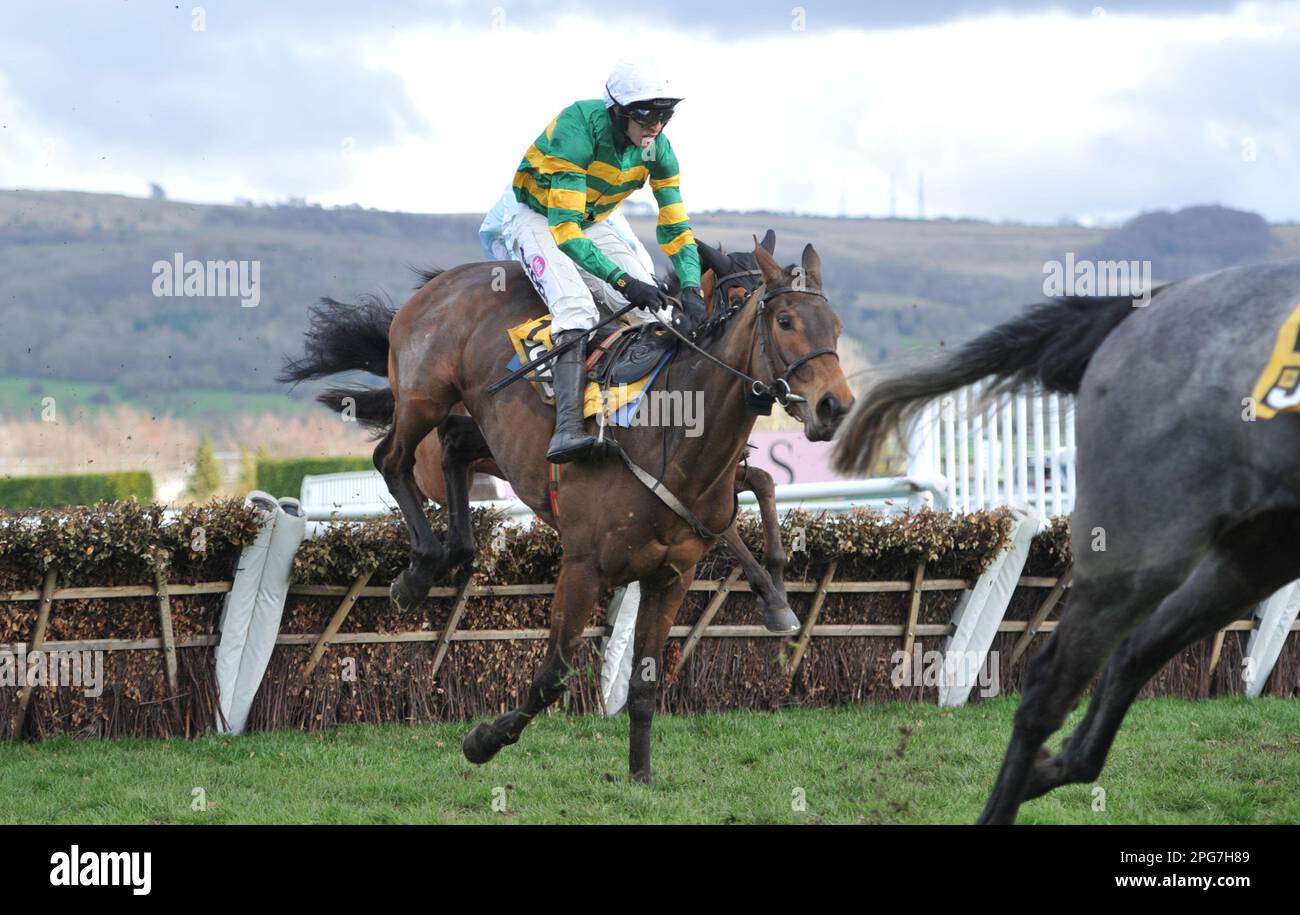 jcb triumph hurdle 0026