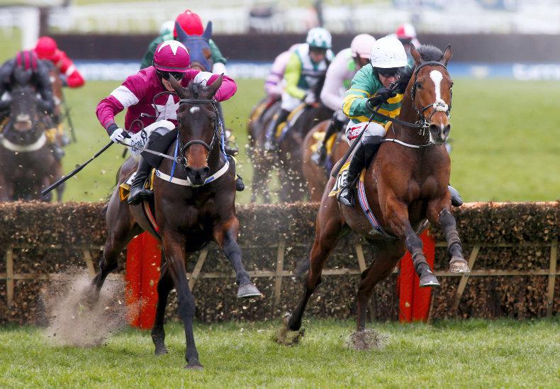 jcb triumph hurdle 0027