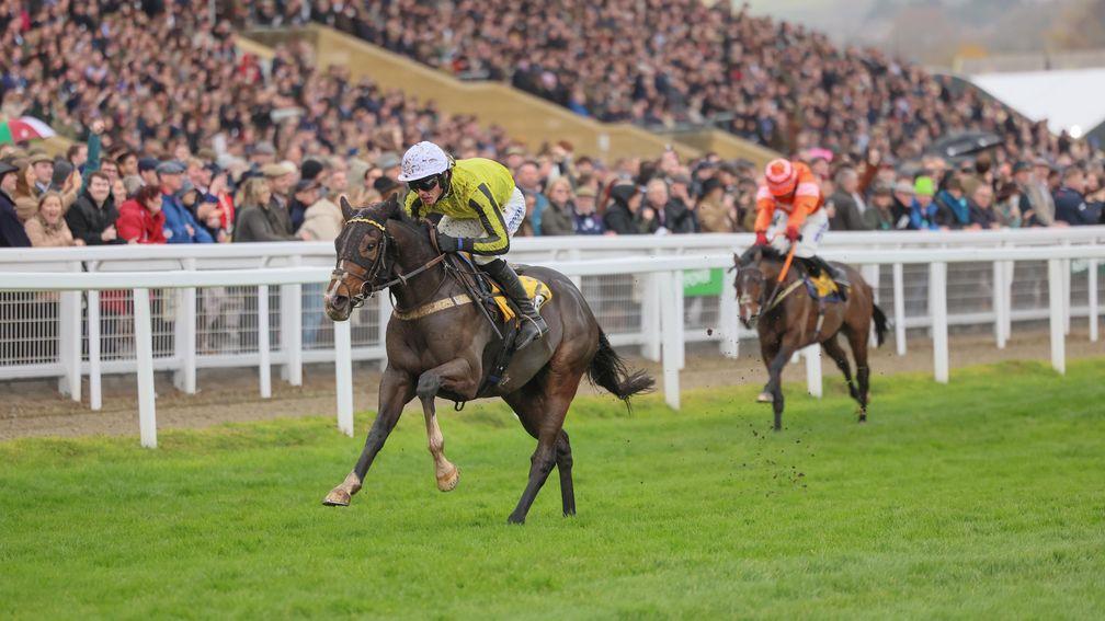 jcb triumph hurdle 0028