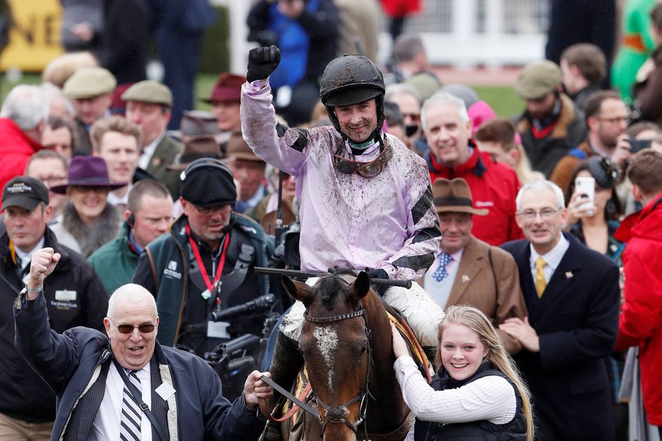 jcb triumph hurdle 0031