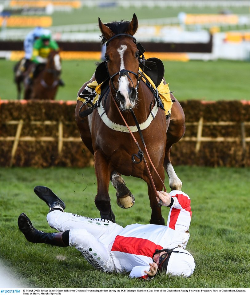 jcb triumph hurdle 0033
