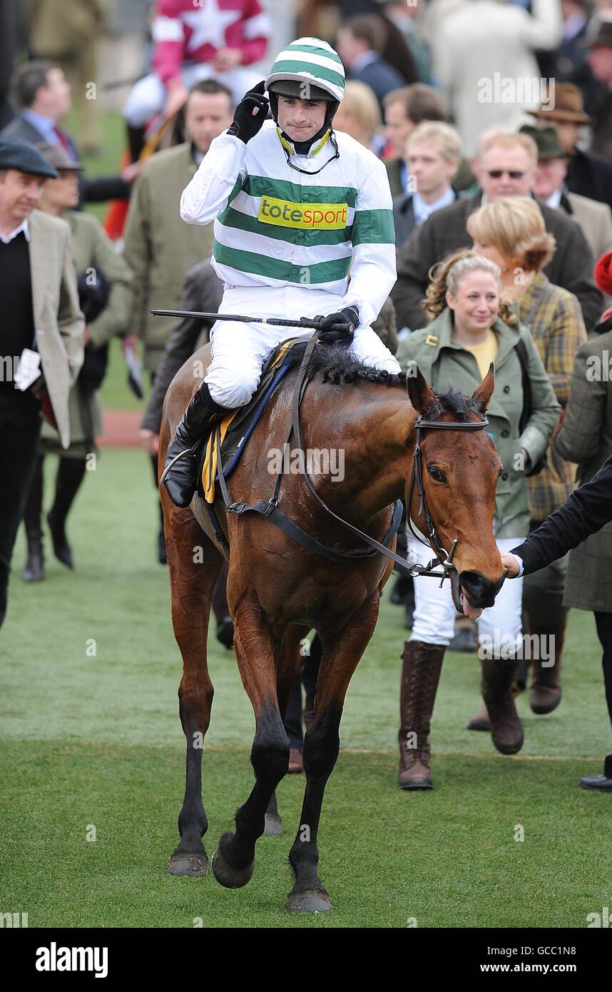 jcb triumph hurdle 0035