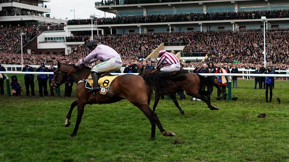 jcb triumph hurdle 0038