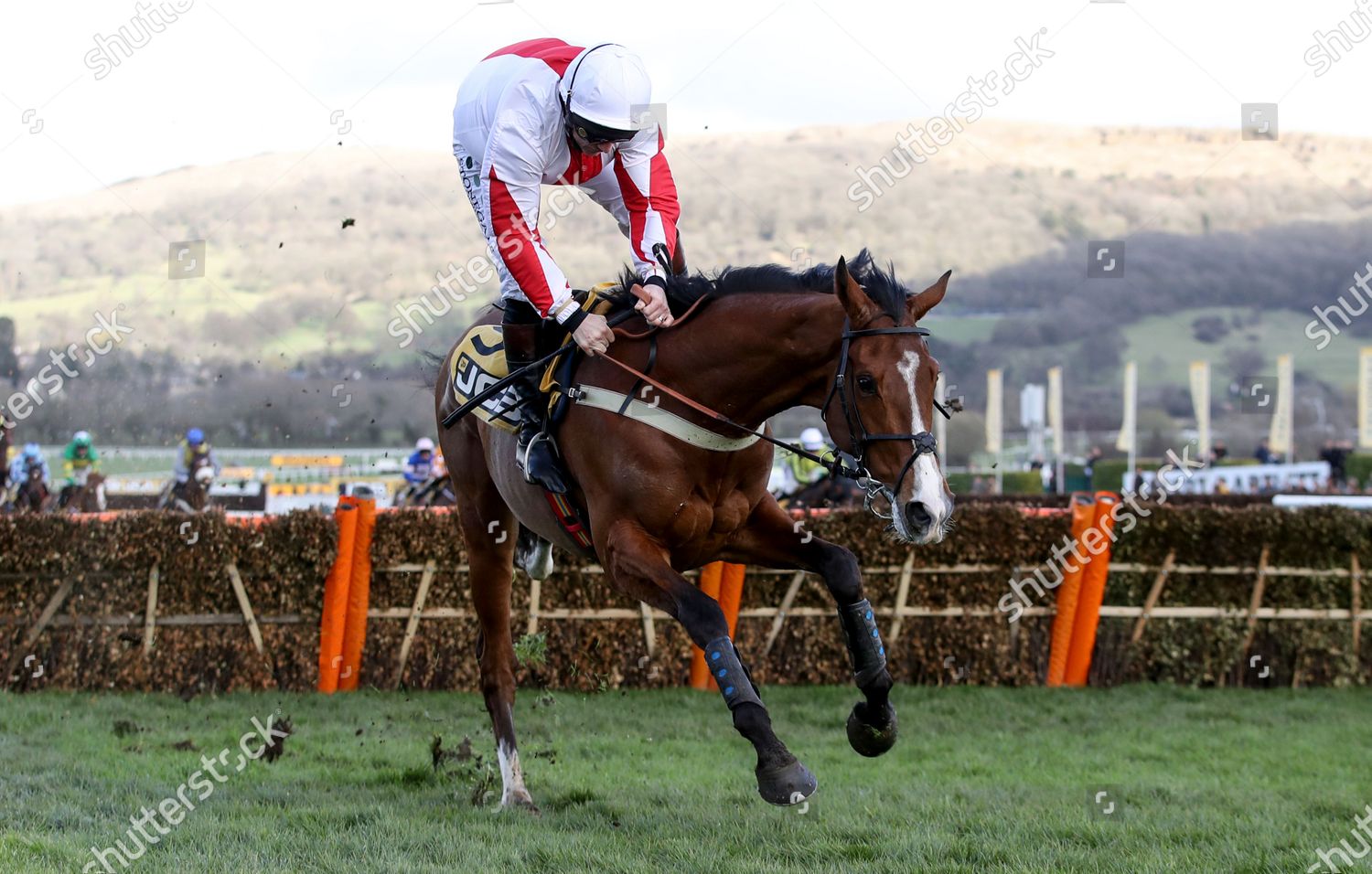 jcb triumph hurdle 0040