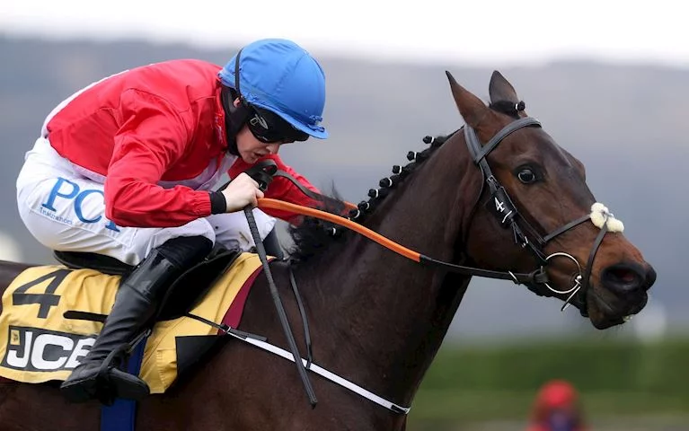 jcb triumph hurdle 0041