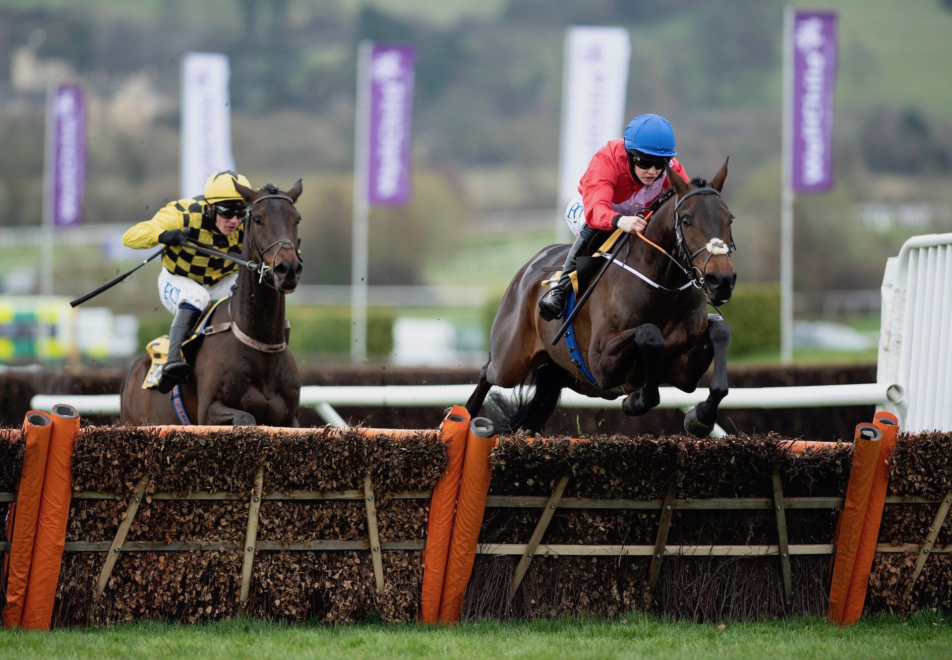 jcb triumph hurdle 0042