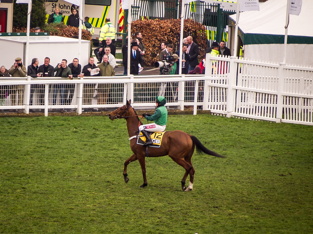 jcb triumph hurdle 0043