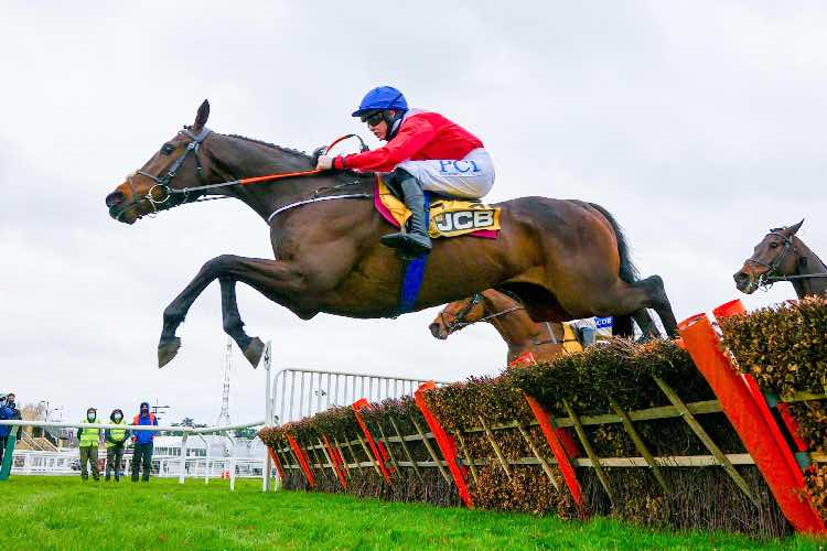 jcb triumph hurdle 0044
