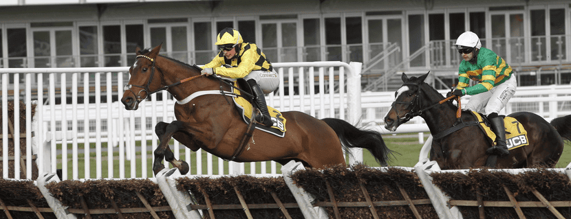 jcb triumph hurdle 0045