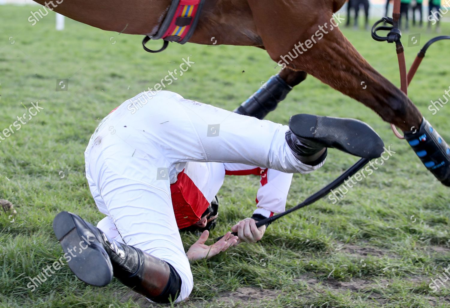 jcb triumph hurdle 0046