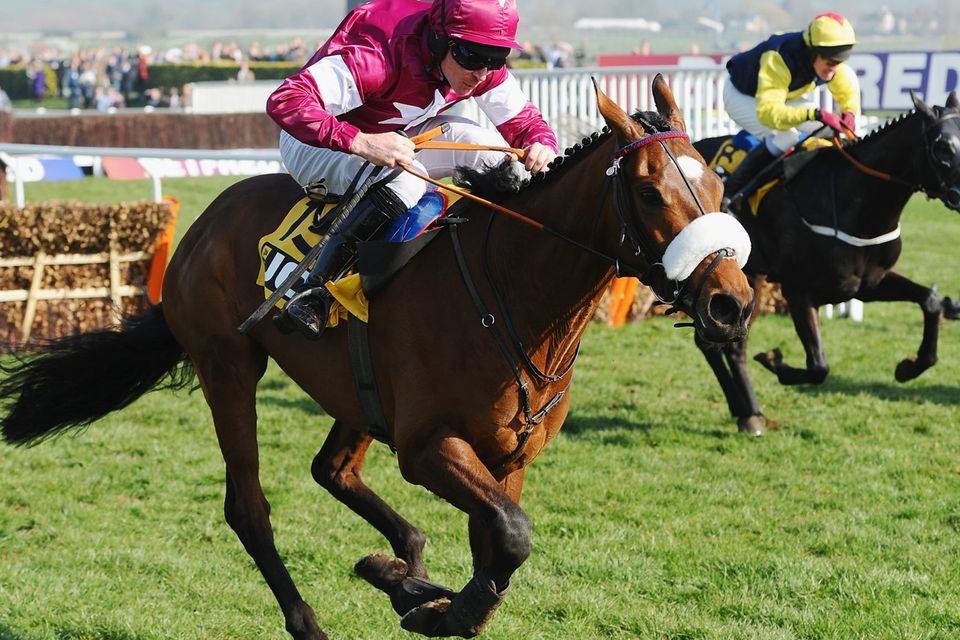 jcb triumph hurdle 0047