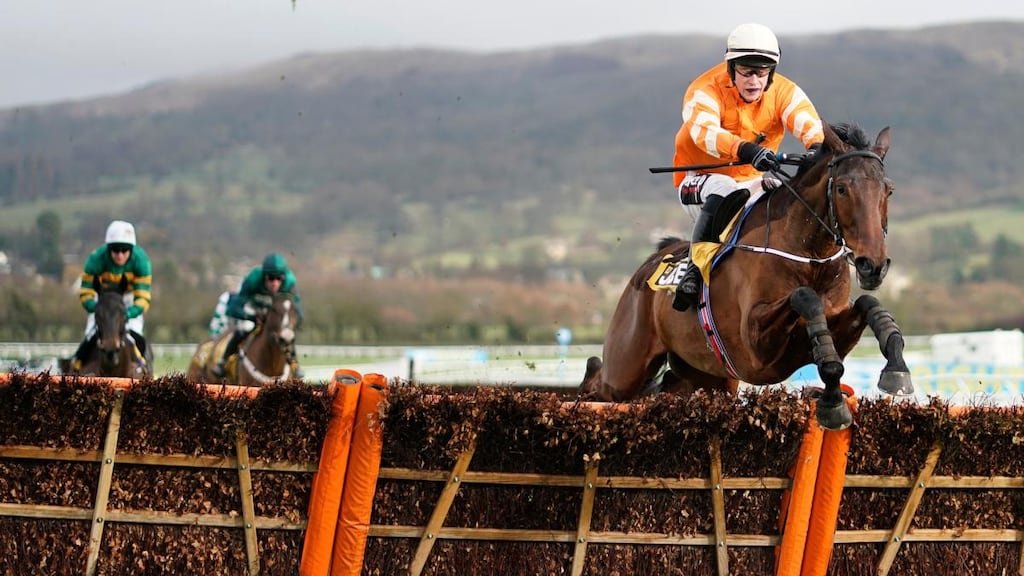jcb triumph hurdle 0048