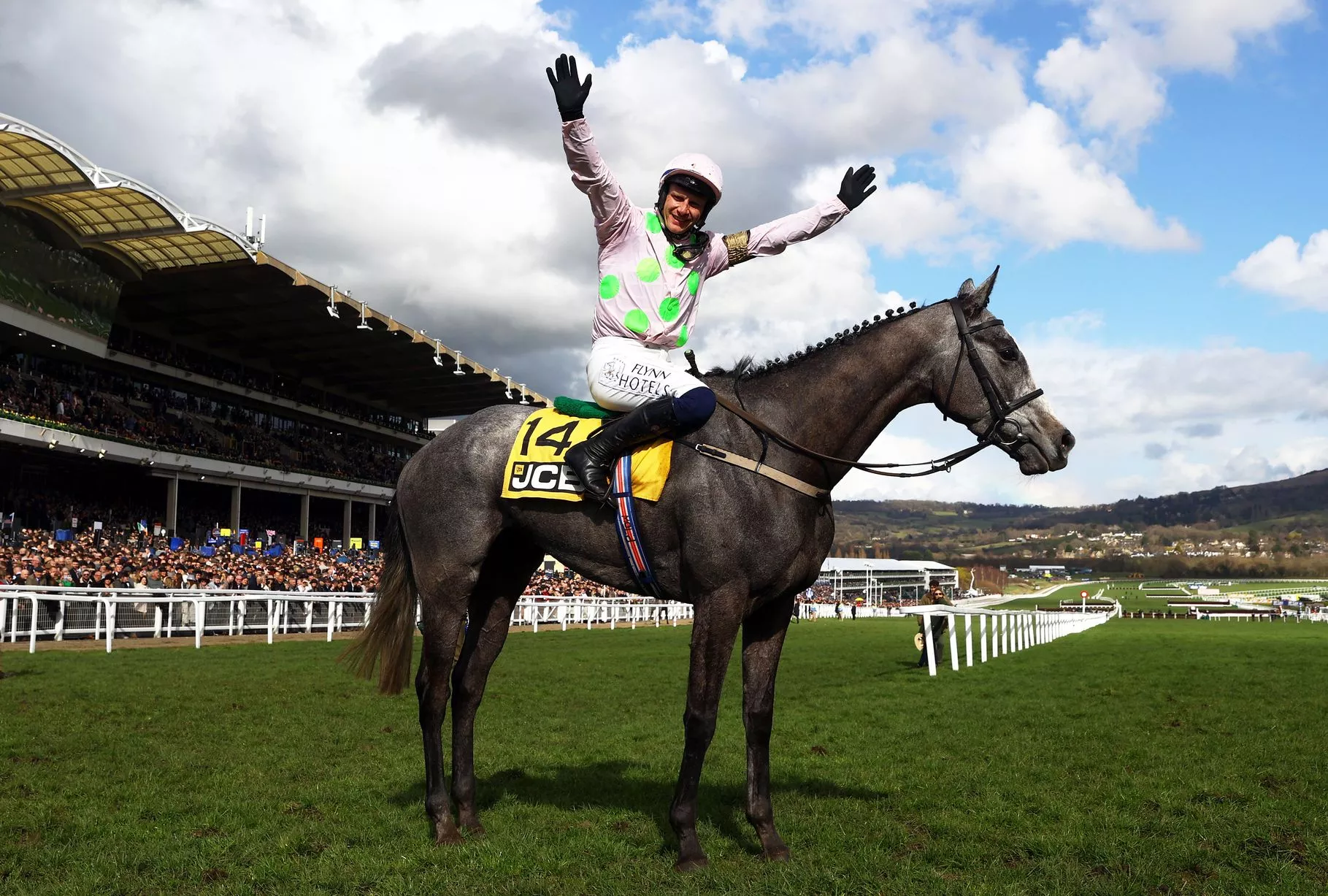 jcb triumph hurdle 0049