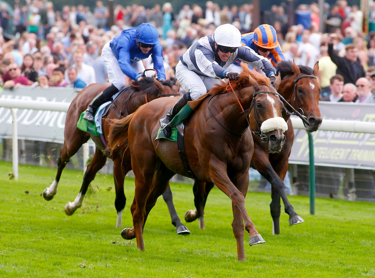 jim crowley blog 0035
