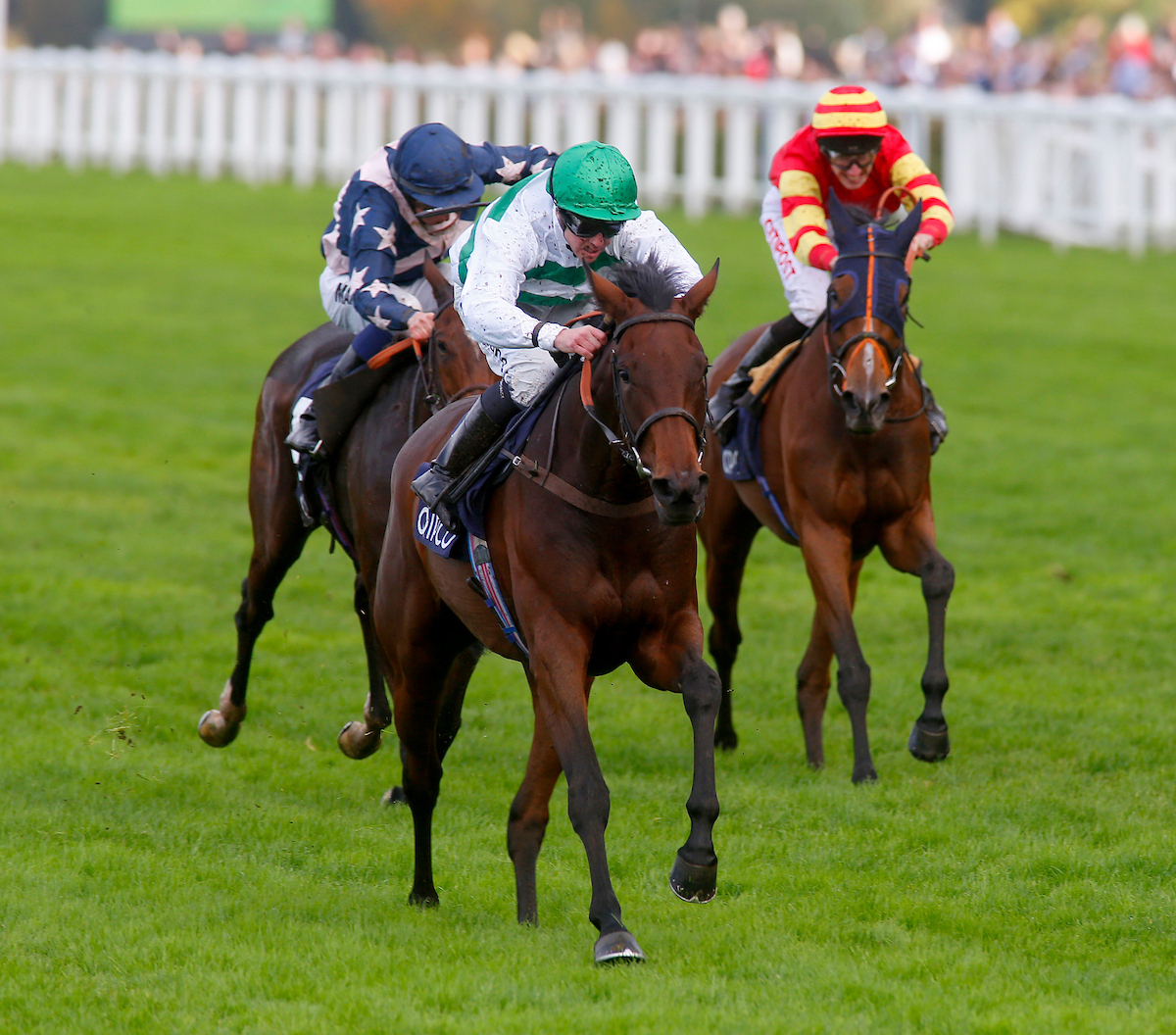 jim crowley blog 0038