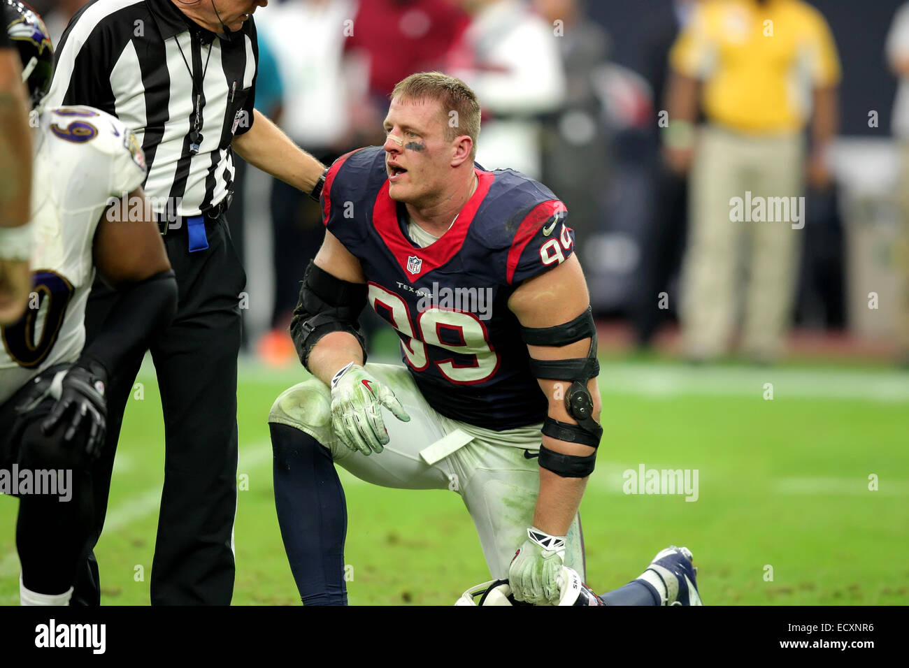 jj watt 2014 0044