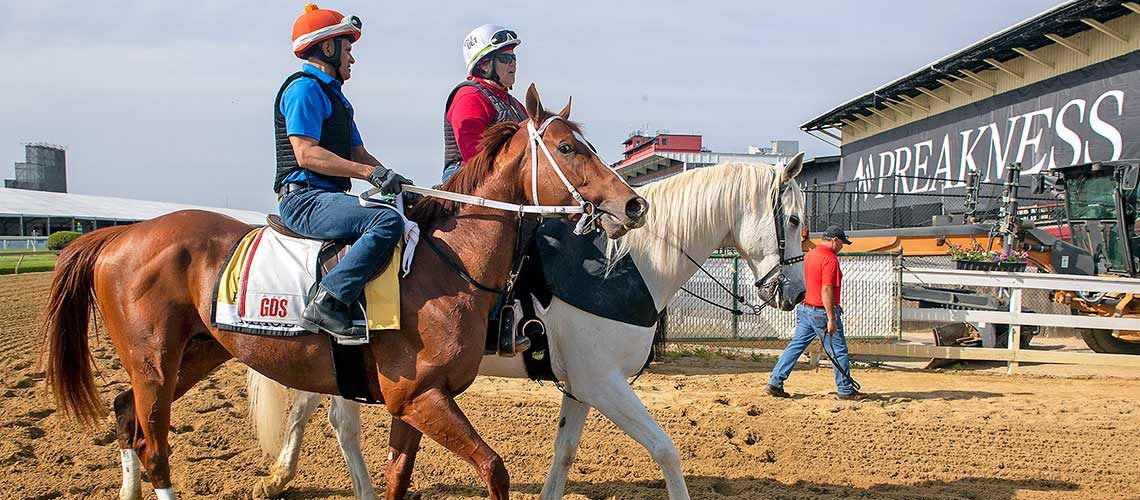 jockey of mage 0018