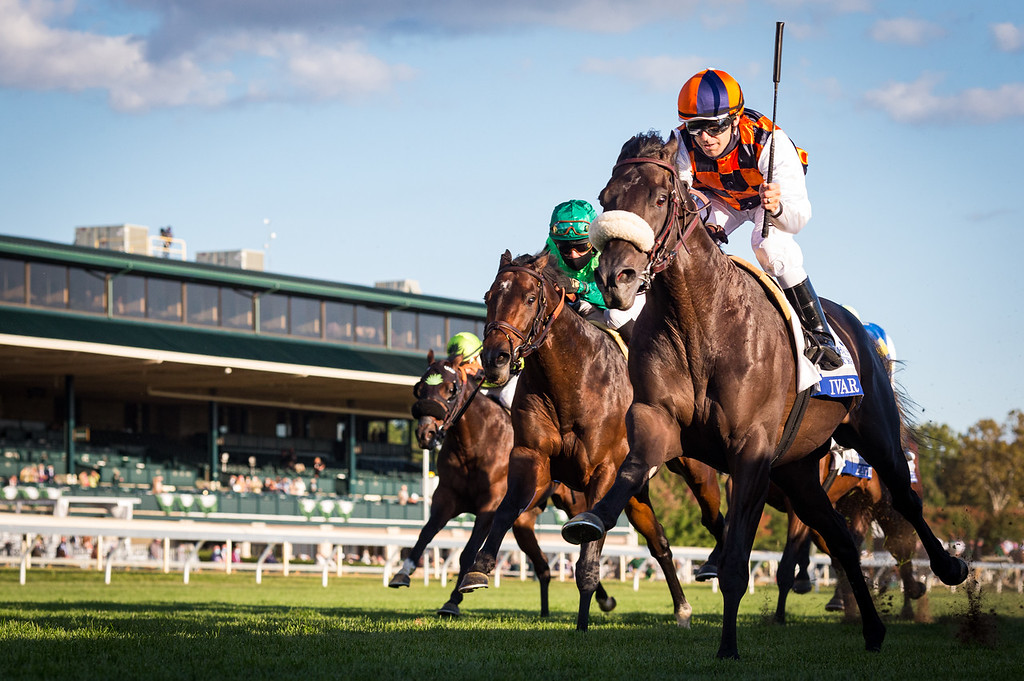 jockey photography