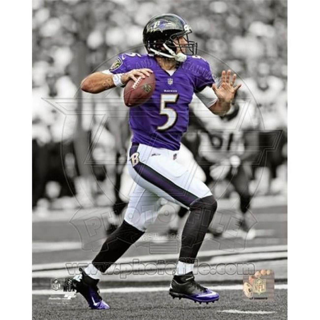 joe flacco 2013 0045