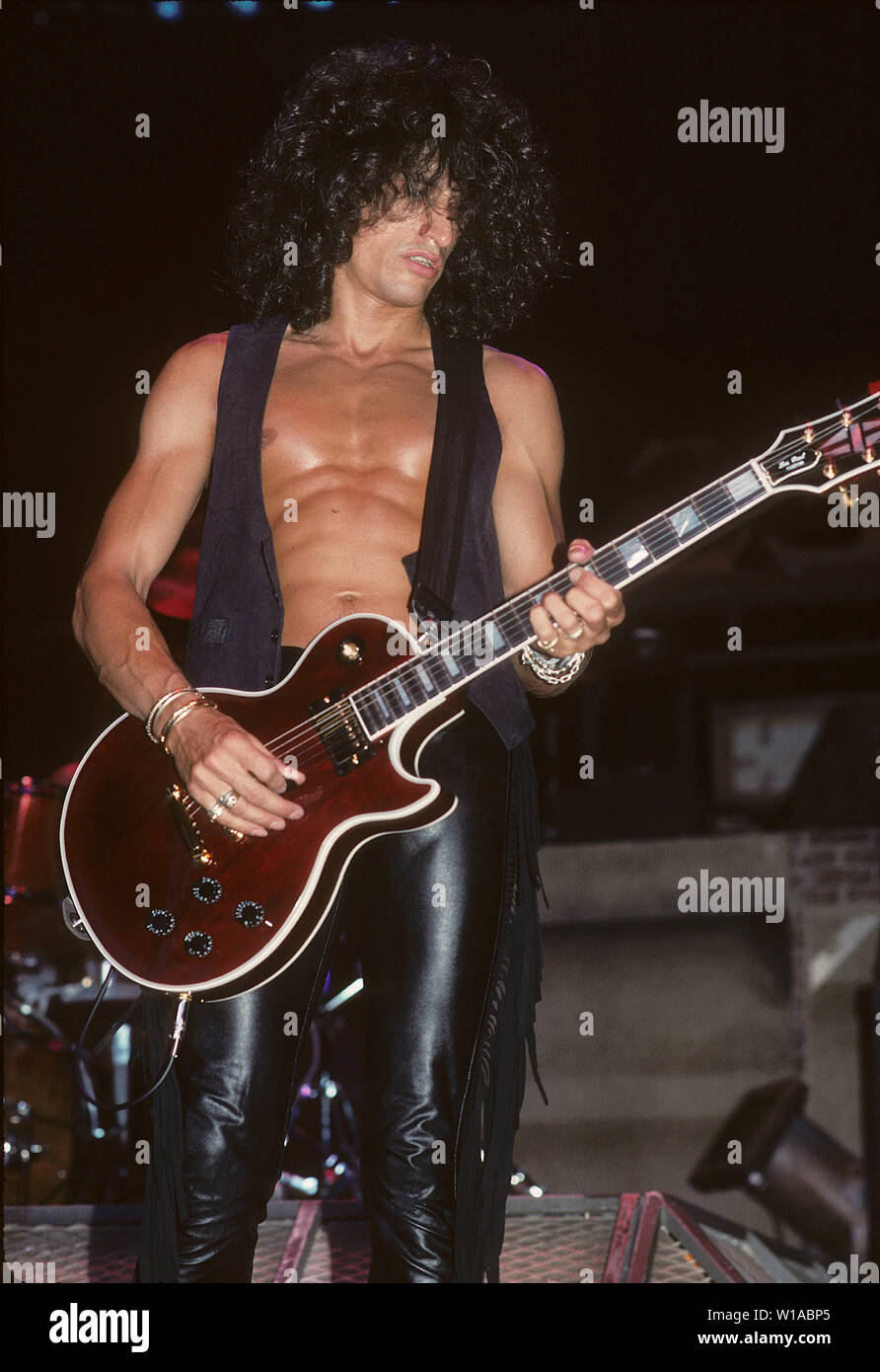 joe perry art
