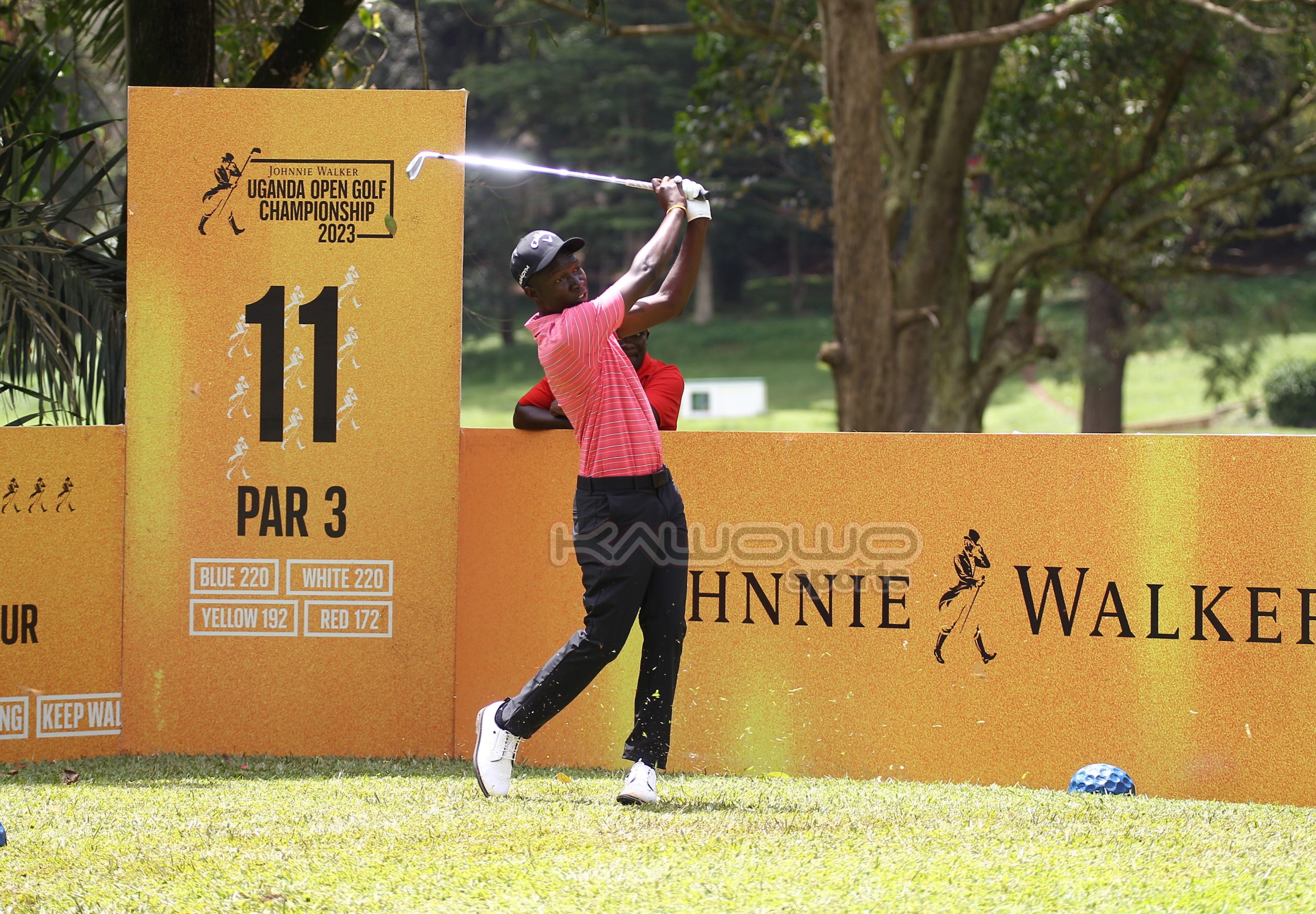Johnnie Walker golf limited editions