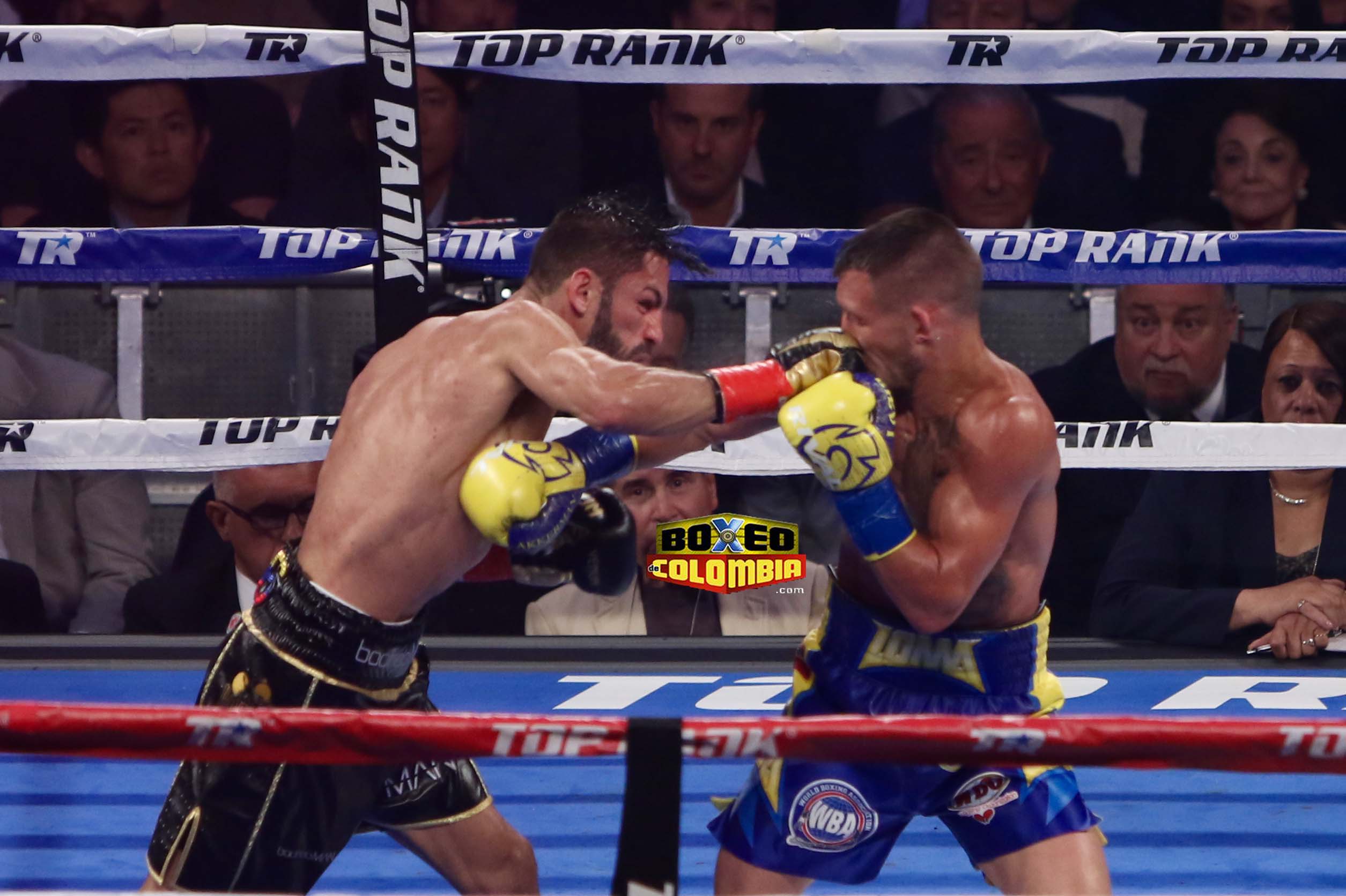 jorge linares vs lomachenko 0010