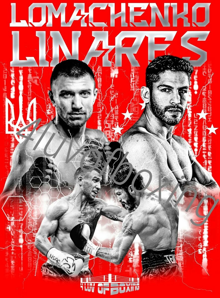 jorge linares vs lomachenko 0035