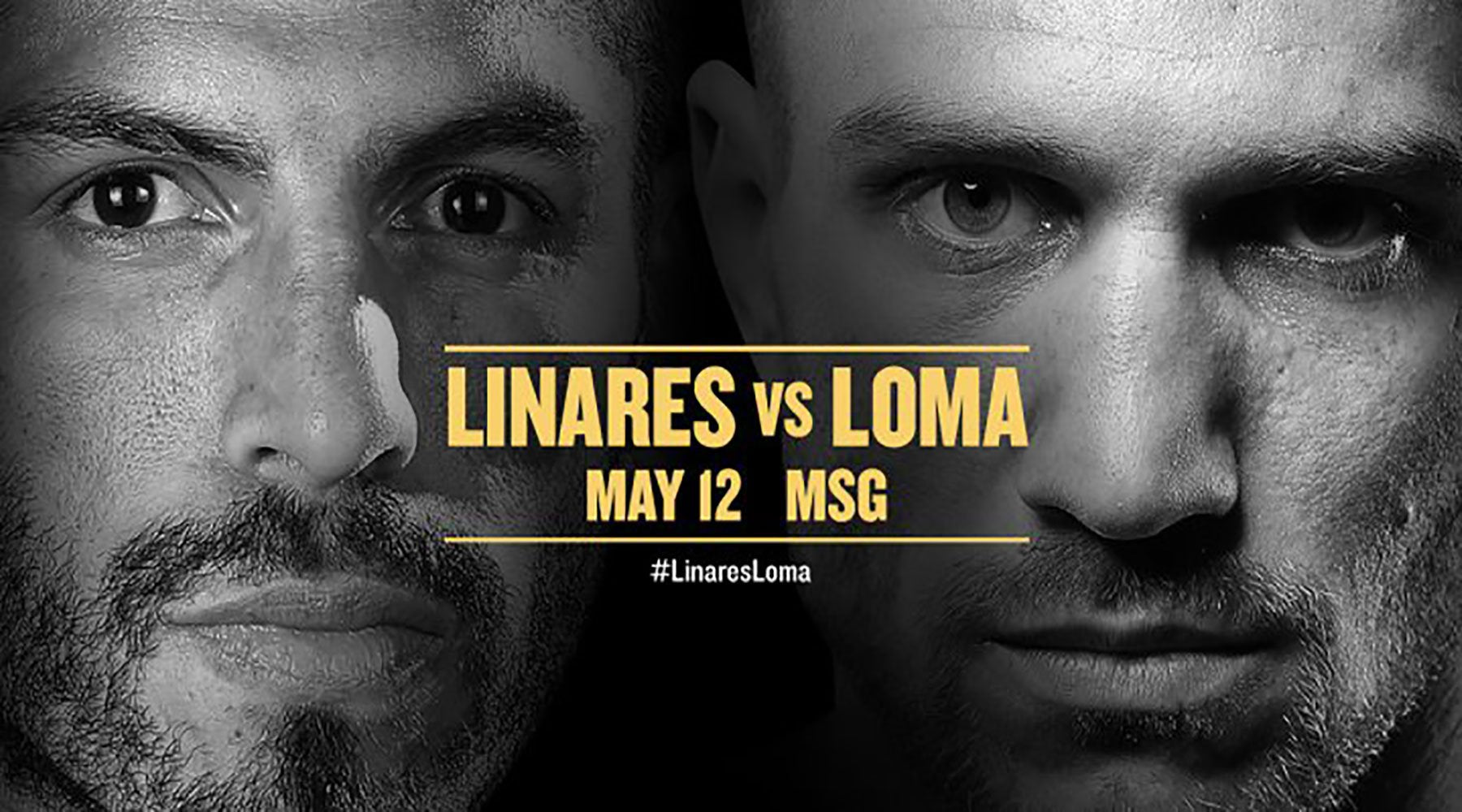 jorge linares vs lomachenko 0037