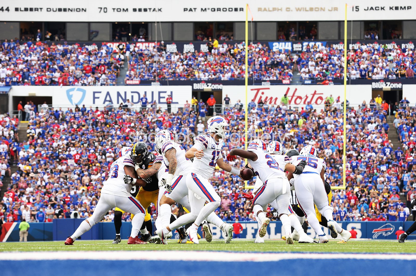josh allen posters 0034