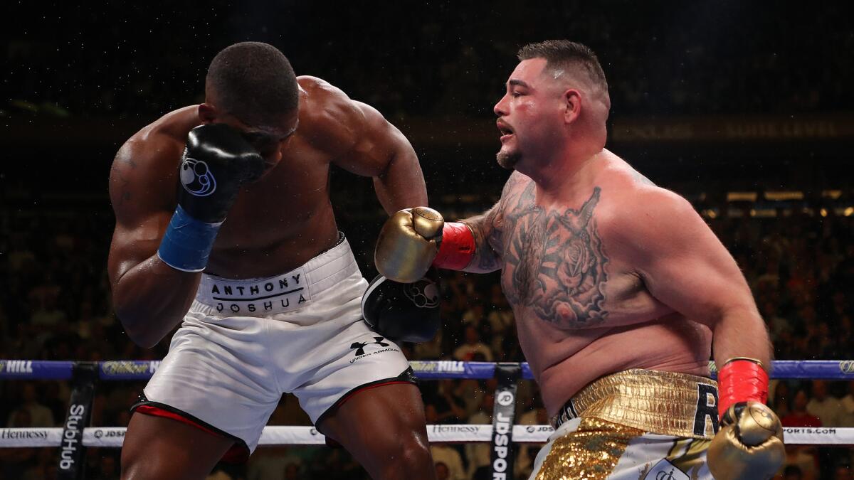 joshua ruiz fight