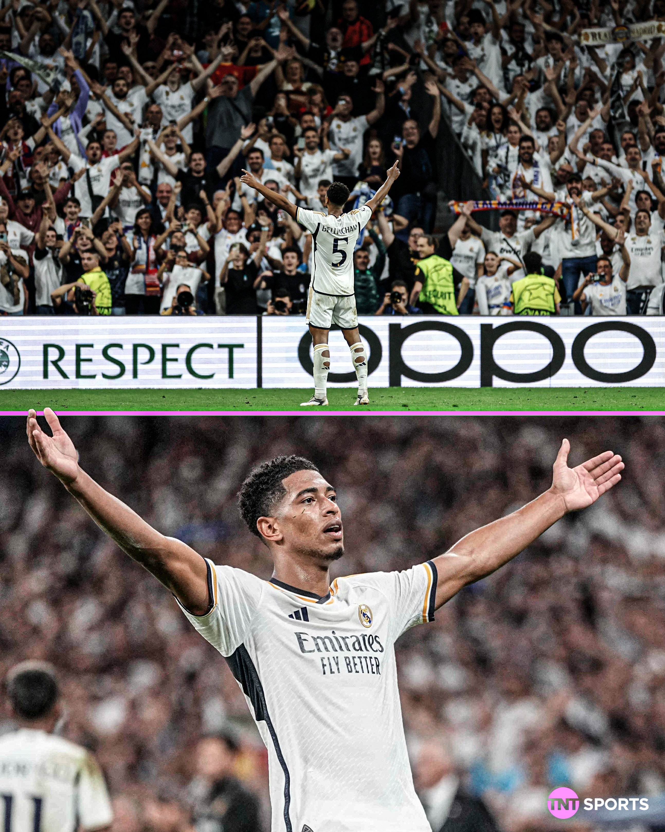 jude bellingham celebration wallpaper 0020