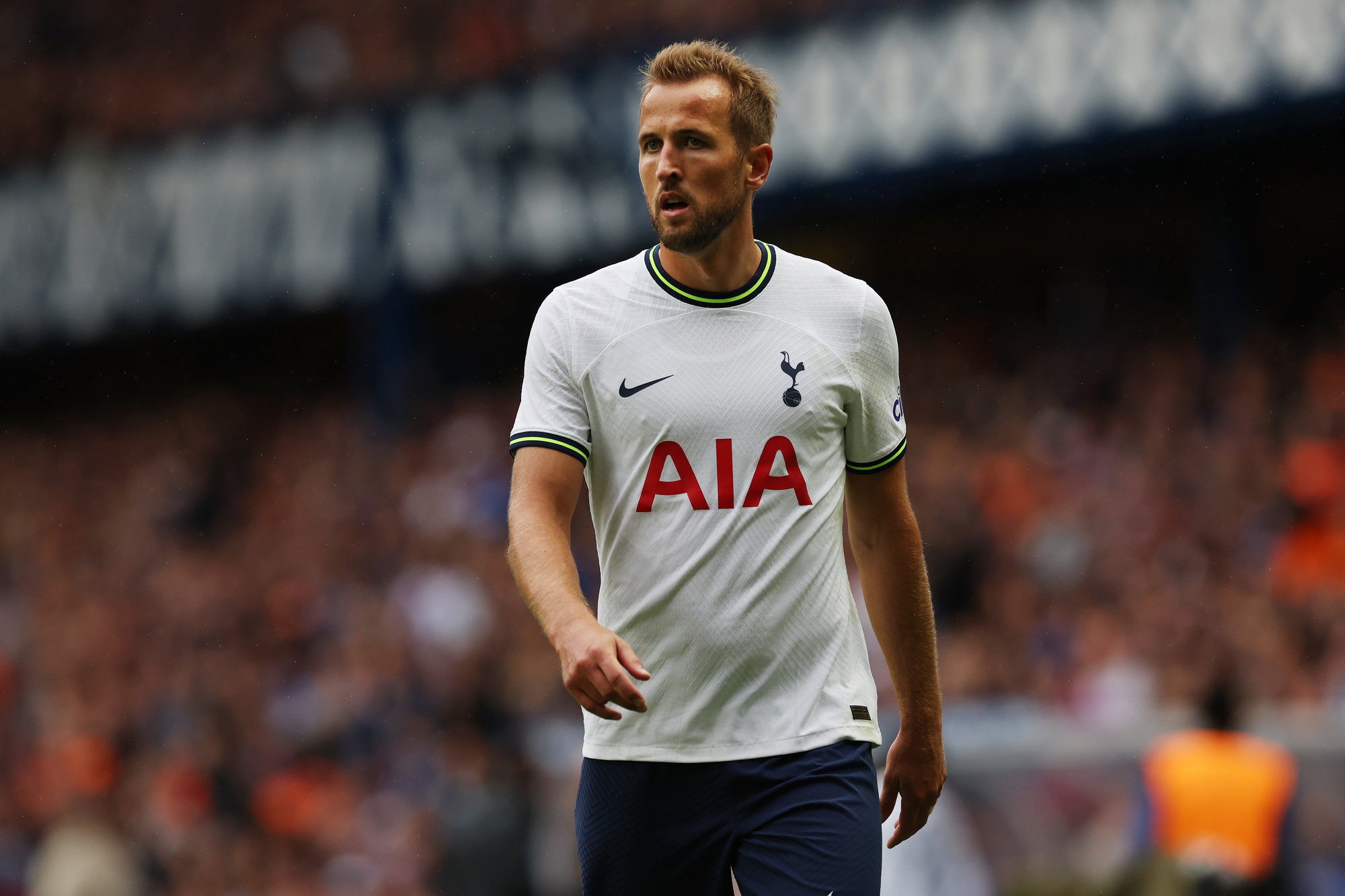 kane pictures 0079