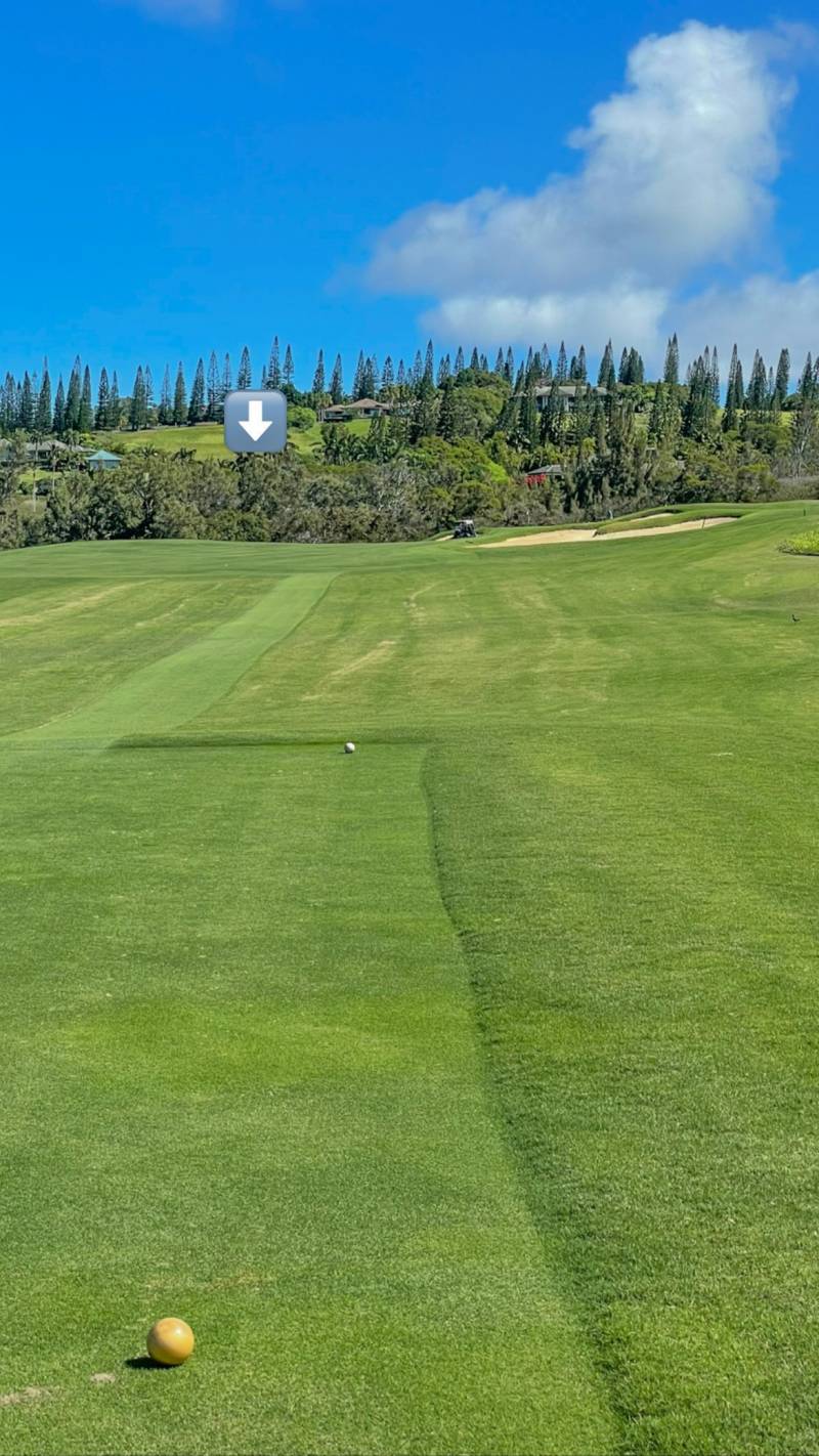Kapalua Plantation Course hole by hole 0024